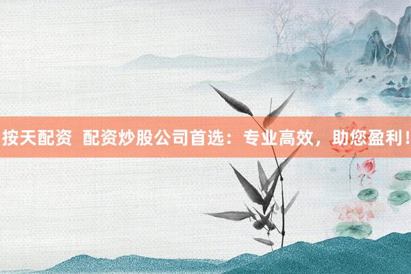 按天配资  配资炒股公司首选：专业高效，助您盈利！