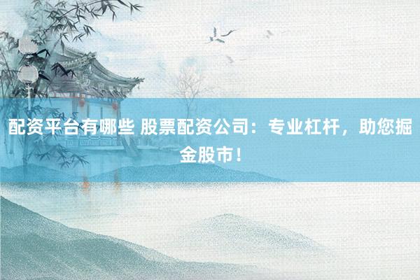 配资平台有哪些 股票配资公司：专业杠杆，助您掘金股市！