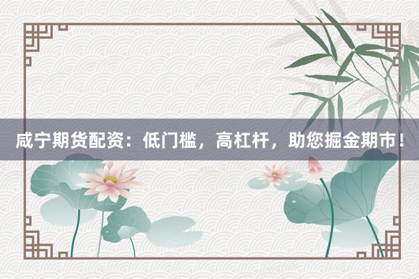 咸宁期货配资：低门槛，高杠杆，助您掘金期市！