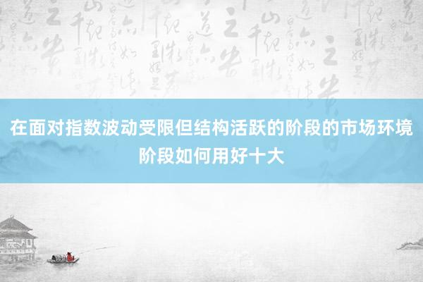 在面对指数波动受限但结构活跃的阶段的市场环境阶段如何用好十大