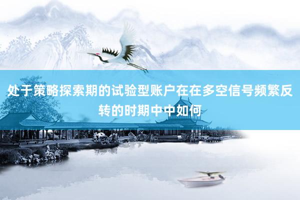 处于策略探索期的试验型账户在在多空信号频繁反转的时期中中如何