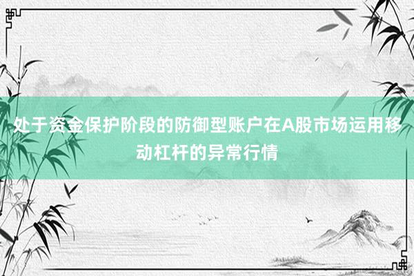 处于资金保护阶段的防御型账户在A股市场运用移动杠杆的异常行情
